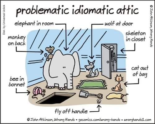 How to learn English idioms